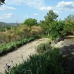 Les Terrasses De L'ardèche 3* Salavas